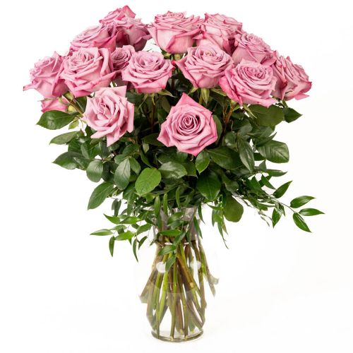 18 Lavender Roses 