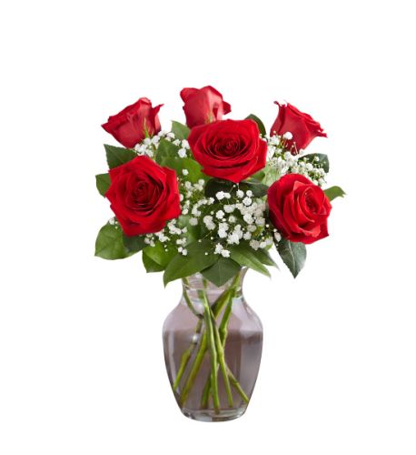 Love's Embrace Half Dozen Red Roses