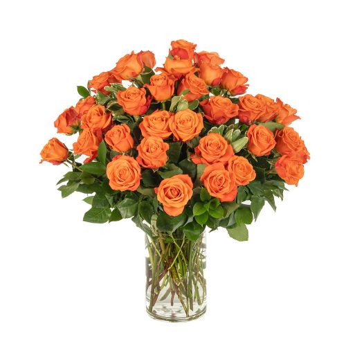 Three Dozen Orange Roses