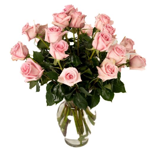 Two Dozen Soft Pink Roses 